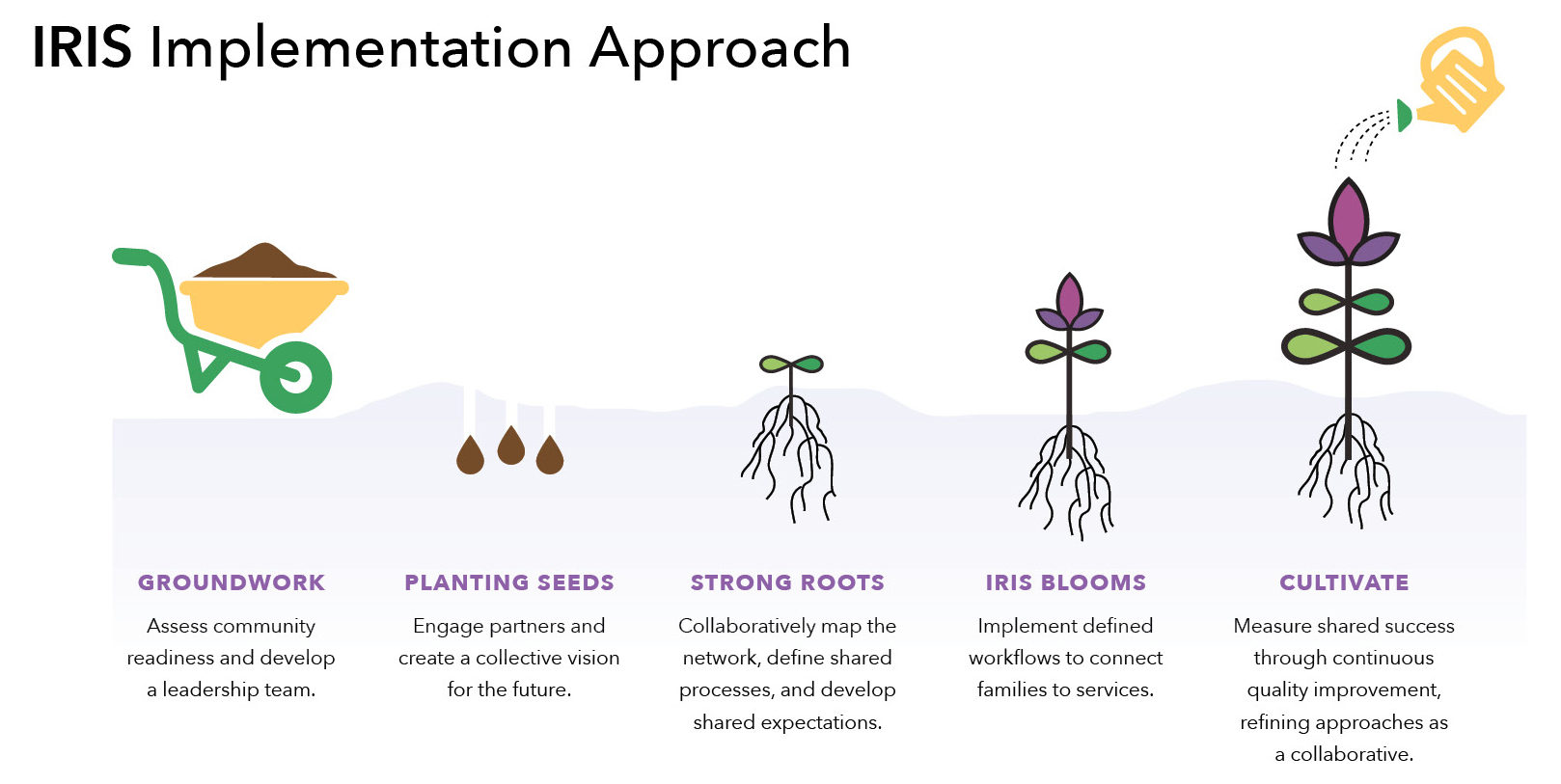 IRIS Implementation approach five phases garden